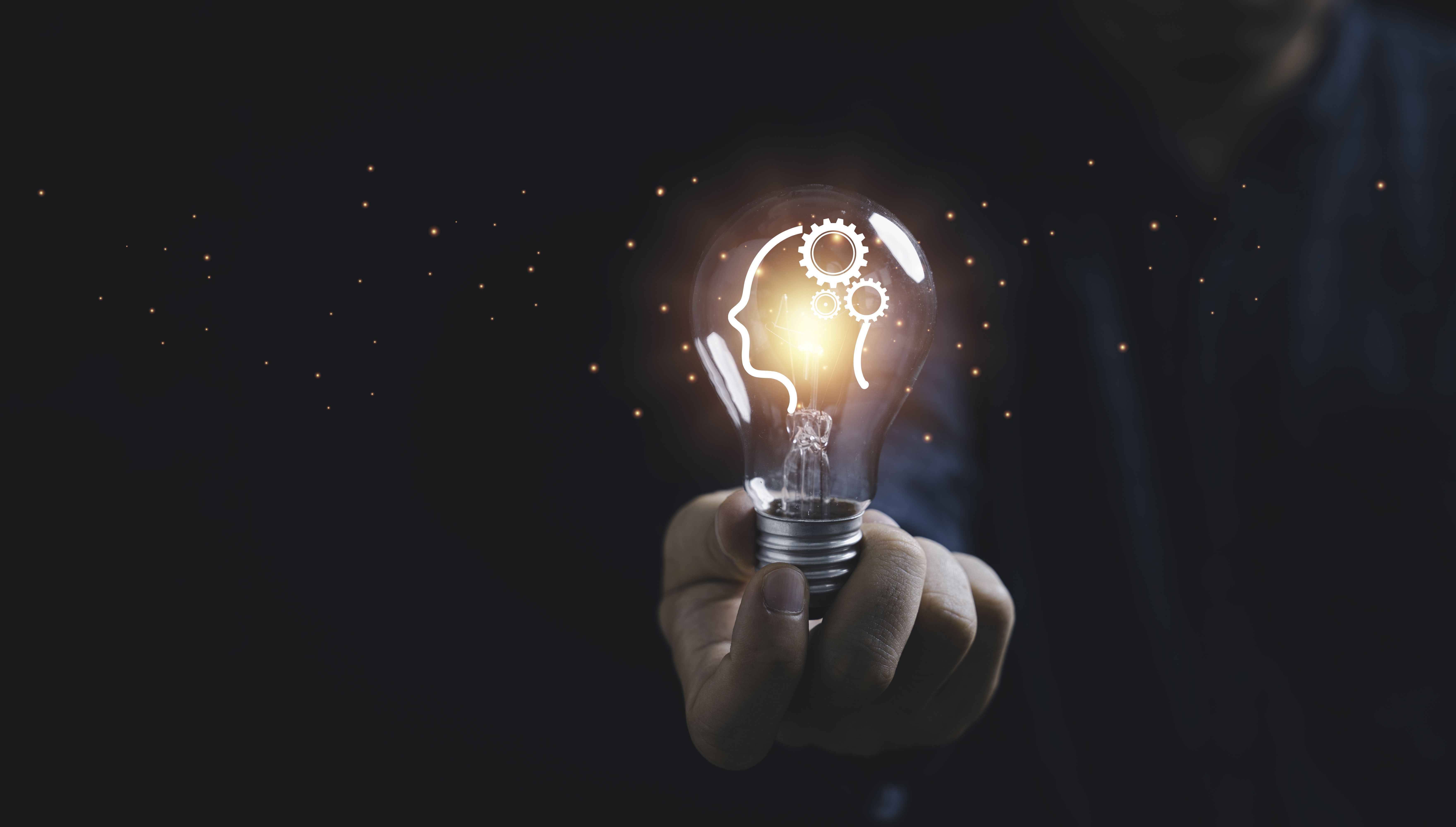 Innovation and business insights